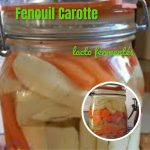 Lacto fermentation Carotte Fenouil